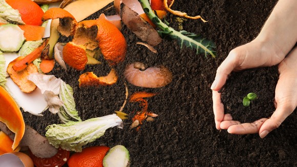Powering a Greener Tomorrow with Sustainable Biomass Energy